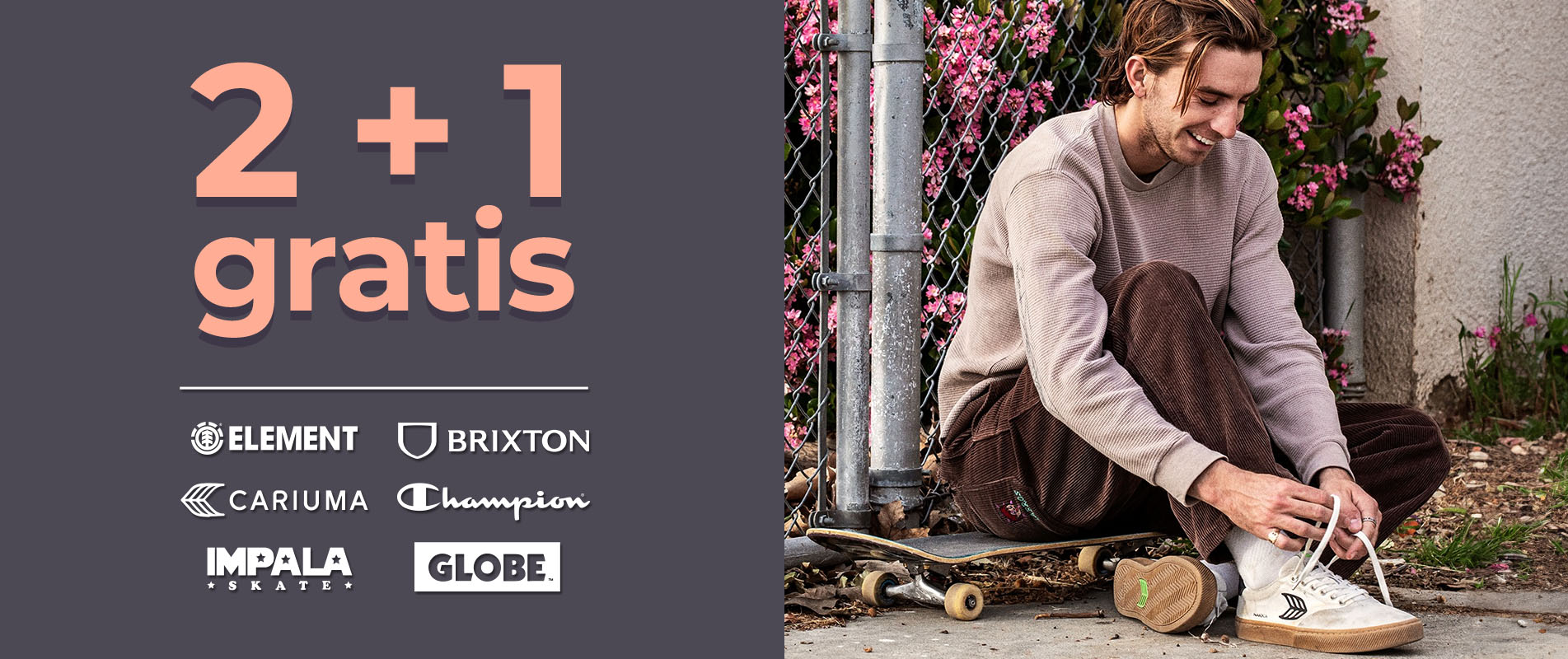 2 + 1 GRATIS!